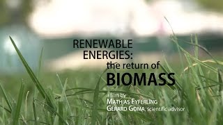 Renewable energies: the return of biomass