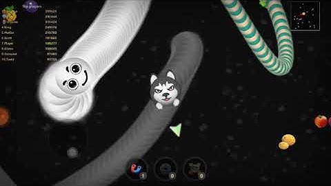 طلعت الأول في لعبة snake lite الاحتراف