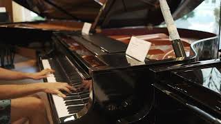Bosendorfer 170VC - fortepian mistrzowski, master grand piano