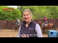 Emma Lavelle on building up horses' fitness after their enjoyable holidays | National Racehorse Week