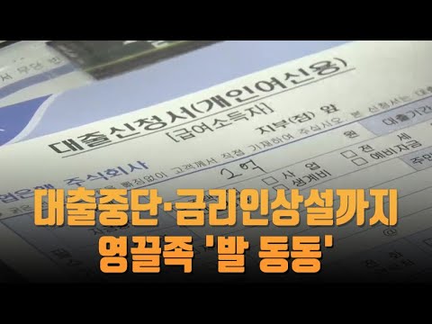 대출중단 &amp;#39;초강수&amp;#39;에 주가하락·금리인상설까지…영끌족 &amp;#39;발 동동&amp;#39; [뉴스 7]