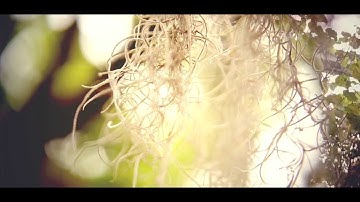 Mikky Ekko - Stay (Original Demo) Video