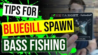 Tips for Bass Fishing the BLUEGILL SPAWN!