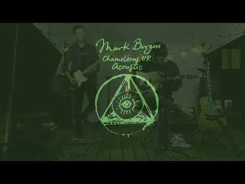 "Up the Down Escalator" - Mark Burgess (the Chameleons)