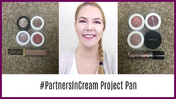 #PartnersInCream Project Pan Collab Intro