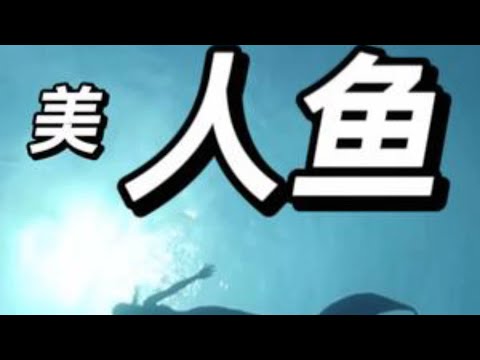 美人鱼｜老高与小茉