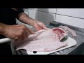 ensinando um modo prático como tirar os espinhos de uma traira🤤🤤🤤🤤🎣🎣🎣🎣🎣🎣🎣😋