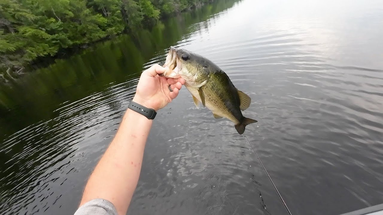 Bass fishing in Maine