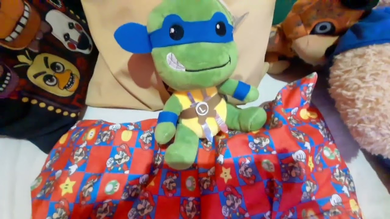 Mi colección de las Tortugas ninja (es muy poco)