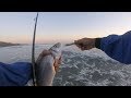 Spinning desde playa con señuelos spanish Lures