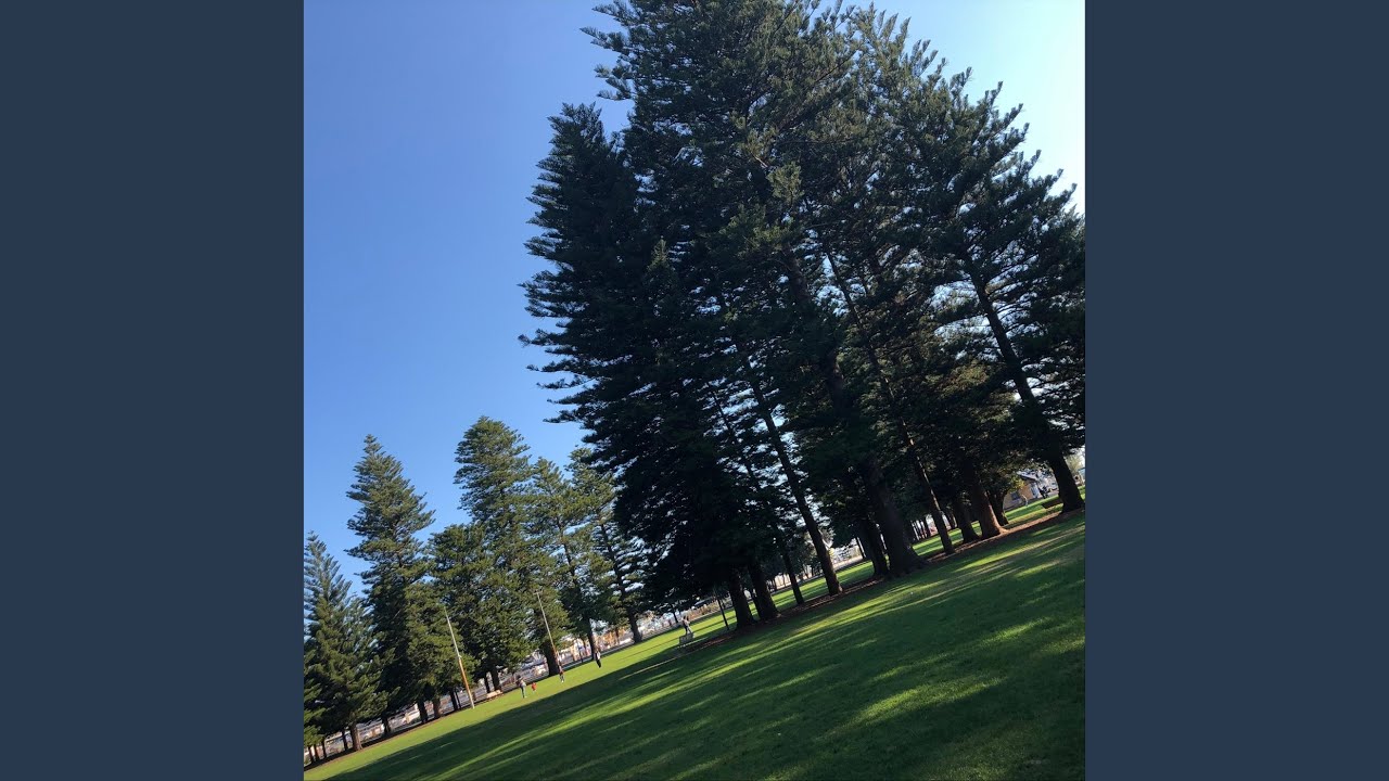 Παρακολούθηση Same Cycle στο YouTube Παρακολούθηση Same Cycle στο YouTube