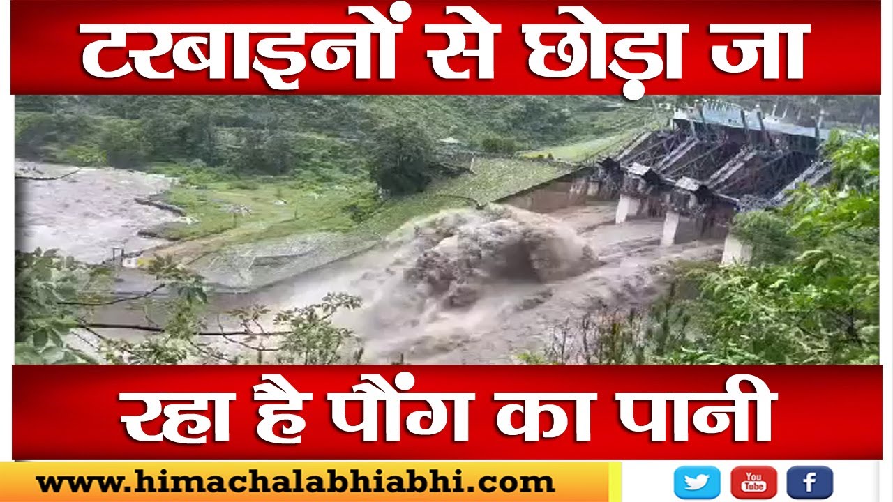 Pong lake Water Level Kangra YouTube