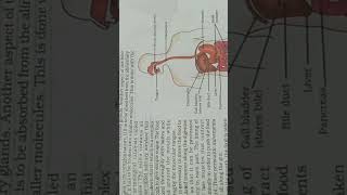 life processes ncert marking notes