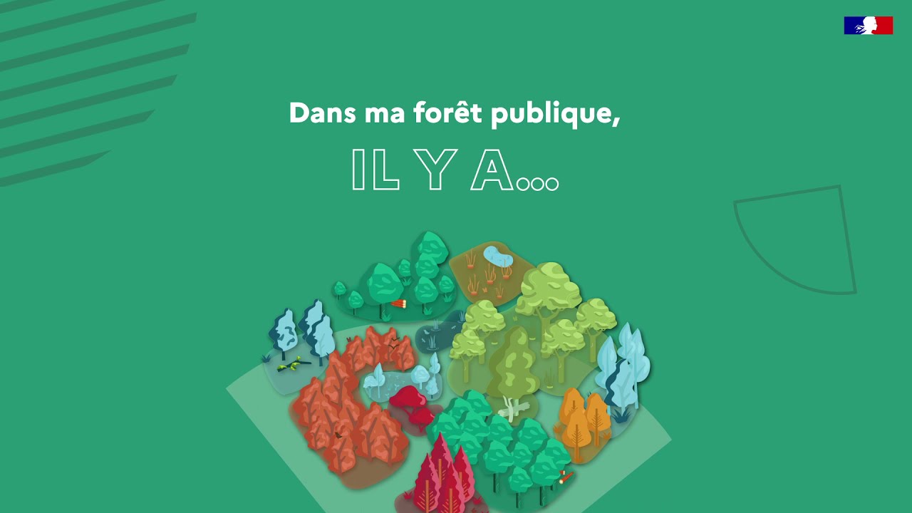 Face au changement climatique, cap vers la forêt mosaïque !