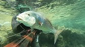 Podvodni Ribolov Kvarner 2021 - YouTube