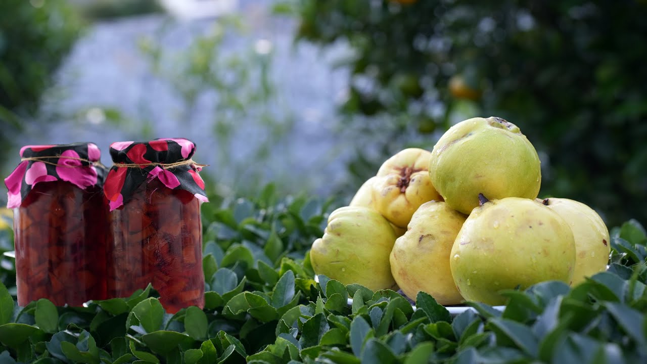 Making Quince fruit jam and picking tangerines in the village YouTube