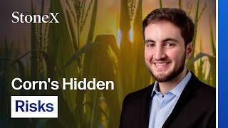 Why the Corn Market Just Got Riskier