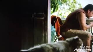 Mohanlal M Scene Loham Movie Whatsapp Status