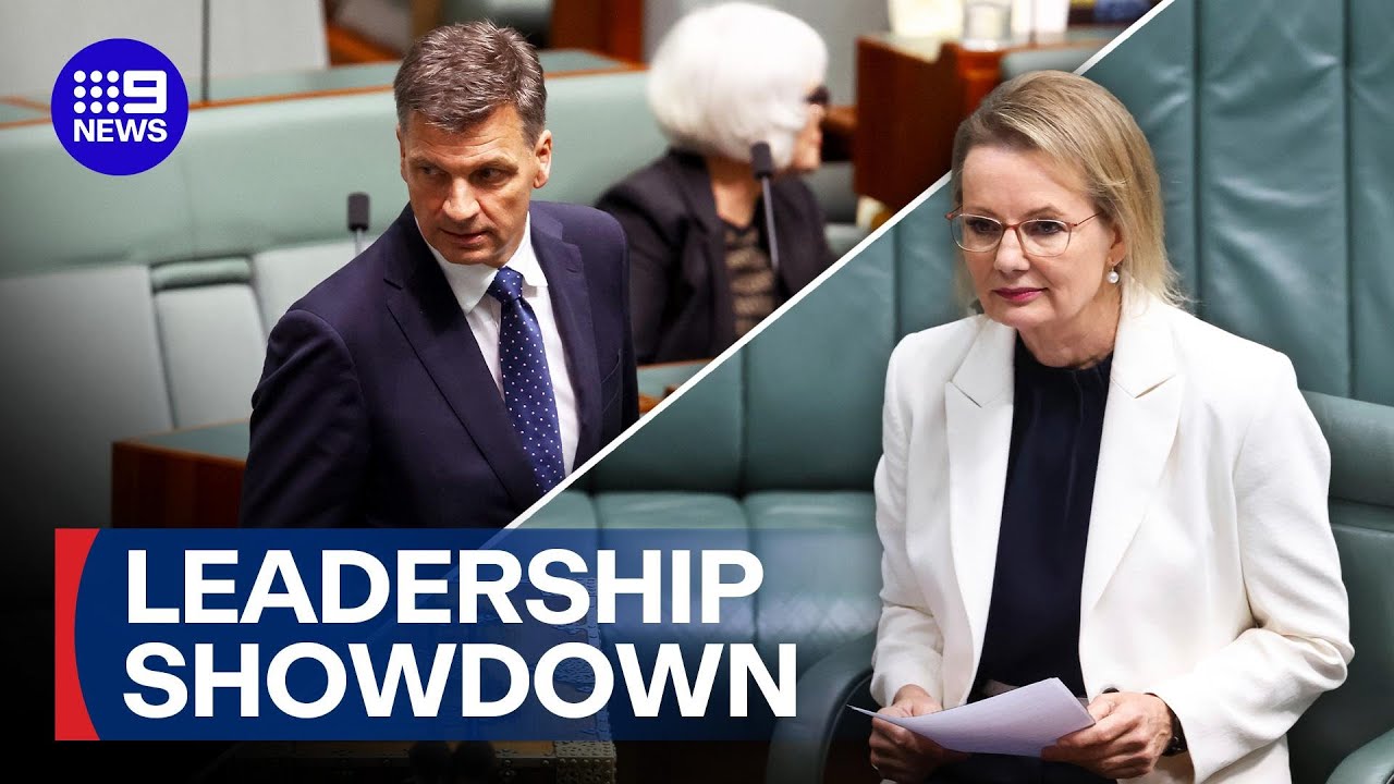 Ley defiant as pressure builds on Angus Taylor to mount leadership challenge | 9 News Australia