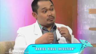 Rabies Infection Treatment, Vaccines And Prevention
