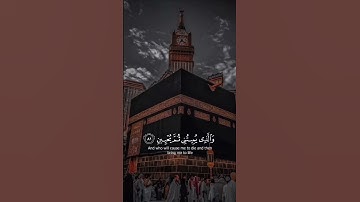 من #سورة_الشعراء 🤍🎧 #اللهم_صل_وسلم_على_نبينا_محمد #قران_كريم#quran #islam