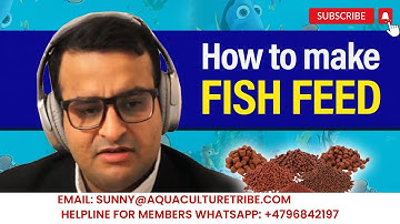 How to make fish feed? Explanation video, Feed formulation