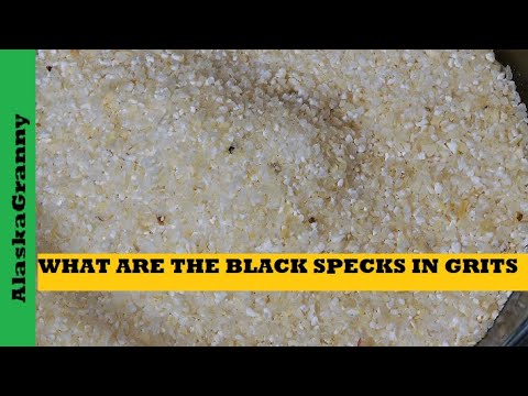 Black Specks In Cornmeal