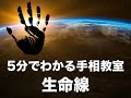 ５分でわかる手相教室（生命線編）