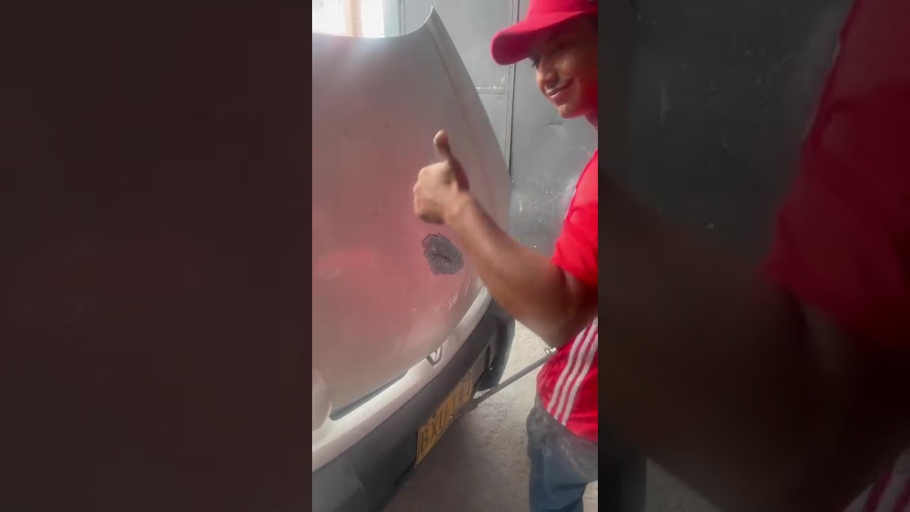 Latoneria y pintura de capo y los dos guardabarros 