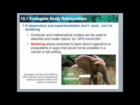 Principles of Ecology