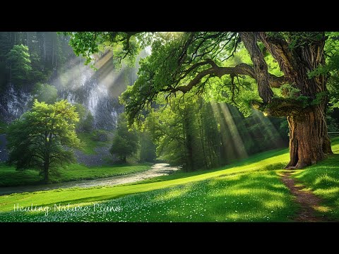 Restaure Le Système Nerveux Musique De Guérison Arrêtez De Trop Réfléchir Sommeil Profond 