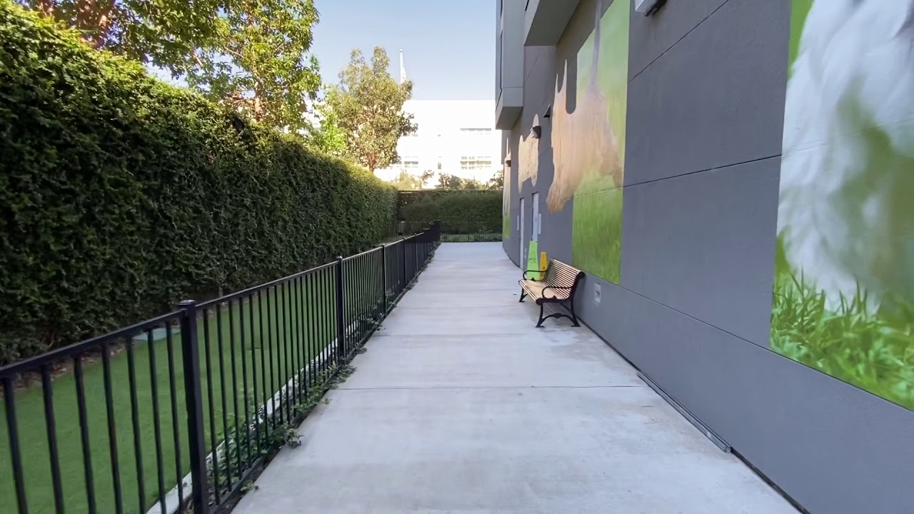 Wilshire Vermont Apartments Dog Run YouTube