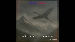 Gitme Turnam Psychedelic Anatolian Rock Saturn Nebulae