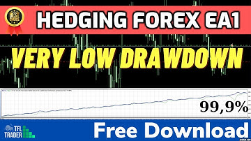 Hedging Forex EA1 | Low Drawdown Hedging Strategy Robot 2021
