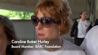 HTV News Flash: Bark for BARC Walk