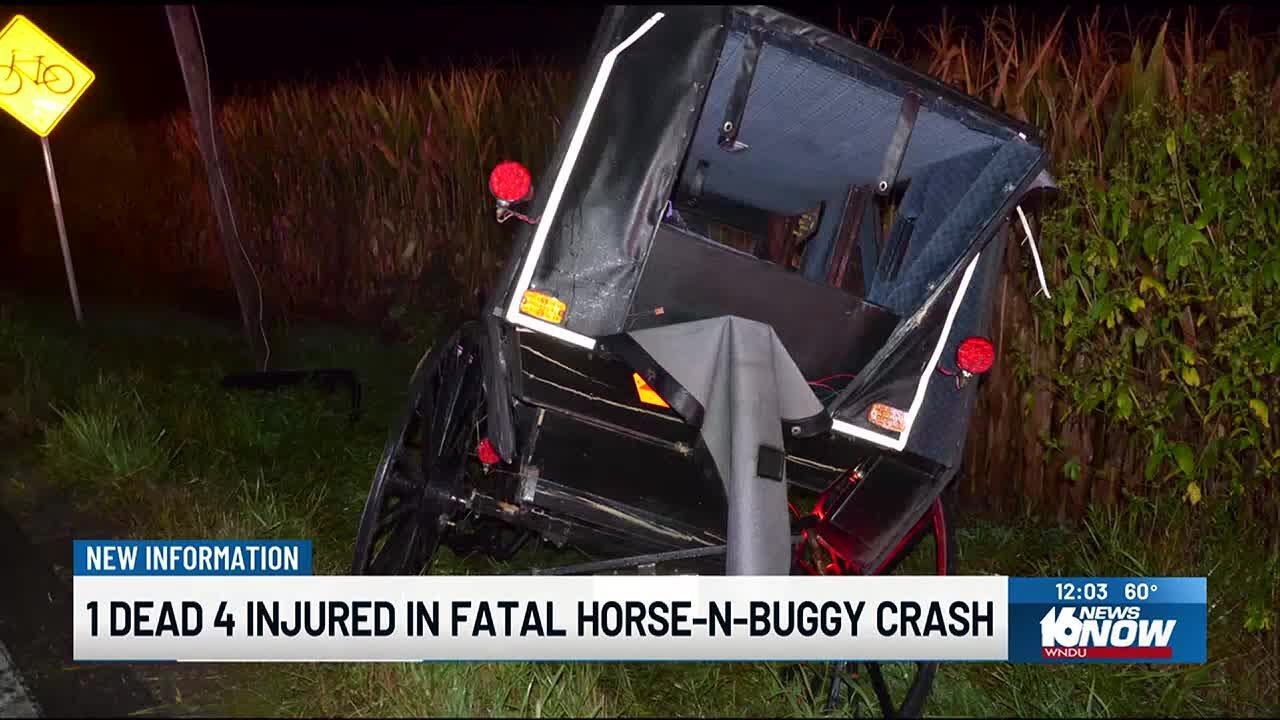 Woman and horse dead, 4 others injured in crash involving buggy in ...