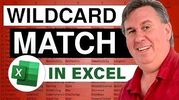 Excel - Excel Tutorial: Counting Records with Wildcard Criteria - Episode 980