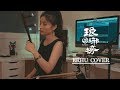 중드 추천음악 랑야방OST - 홍안구 얼후 커버 (琅琊榜OST- 紅顏舊,Nirvana in Fire - Hong Yan Jiu) ERHU COVER