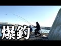 【北海道】【釣り】ちょい投げで超重量級が爆釣