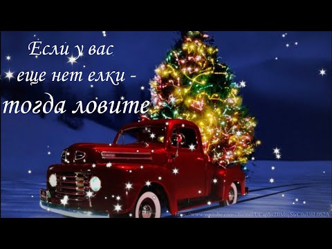 Если у вас еще нет елки-тогда ловите!/Позитивчик для друзей/Красивое поздравление для друзей