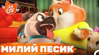 Наш Новий Друг Террі 🐶🐾✨ | 44 Cats