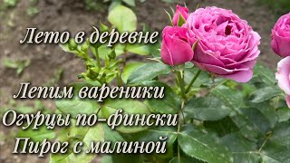 видео: Лето в деревне. Вареники. Огурцы по-фински. Пирог с малиной. картинка: Лето в деревне. Вареники. Огурцы по-фински. Пирог с малиной.