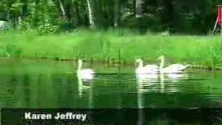 Windmill Pond Aeration