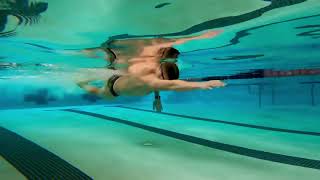 Catchup Freestyle Drill