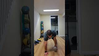 Bear Crawl Hold + 1 Arm Row