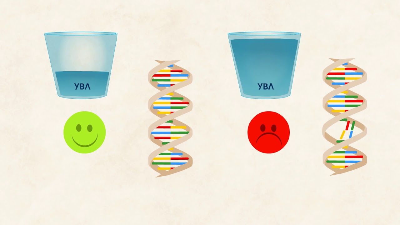 Уча.се - Инфрачервени и ултравиолетови лъчи - 10. клас