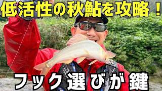 鮎ルアー難条件で引き出す良型鮎！【ルアー合衆国】