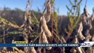 Nebraska Farm Bureau requests aid amidst China trade war