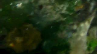 SANY0239.MP4