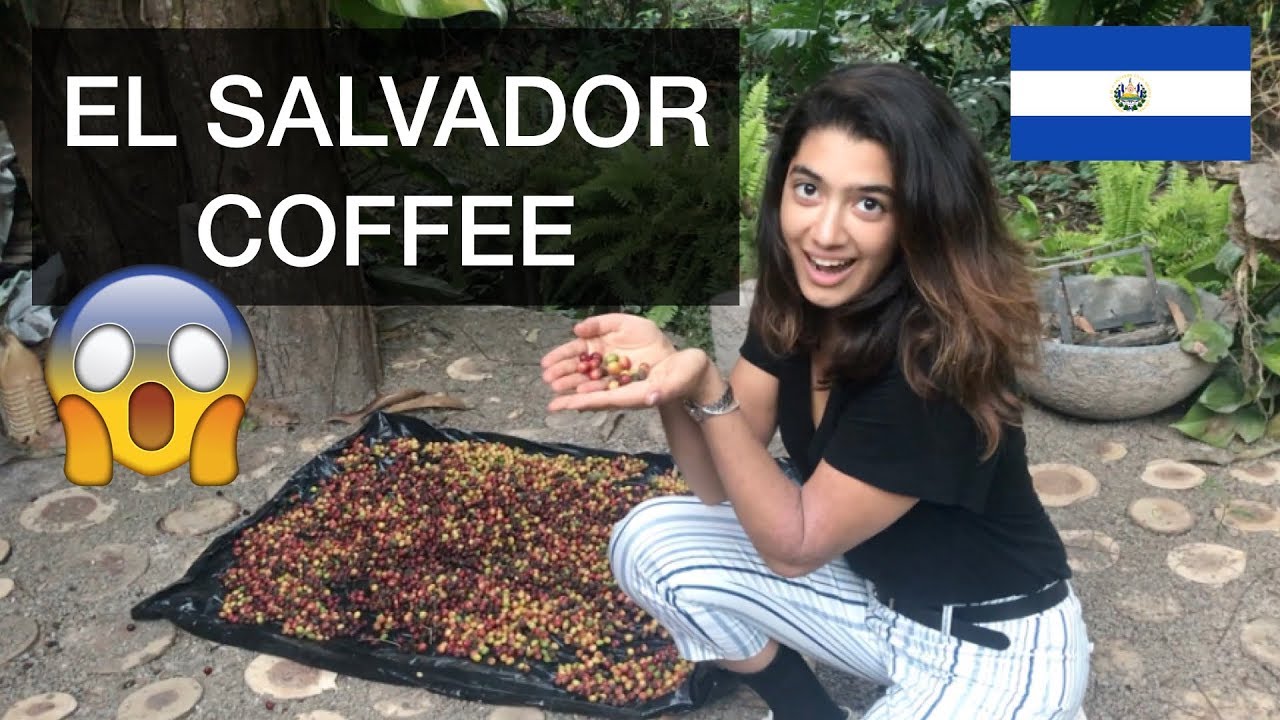 El Salvador Coffee Brands El Ciprés Coffee El Salvador / Top 7 best